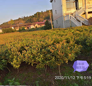 湖南森福木業有限公司,木結構別墅建造及制作,木涼亭建造及制作,木棧道建造及制作 湖南森福木業有限公司,木結構別墅建造及制作,木涼亭建造及制作,木棧道建造及制作