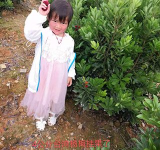 湖南森福木業有限公司,木結構別墅建造及制作,木涼亭建造及制作,木棧道建造及制作 湖南森福木業有限公司,木結構別墅建造及制作,木涼亭建造及制作,木棧道建造及制作